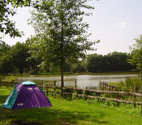 Terrain de camping à 5 minutes du Parc de Pierre-Brune
